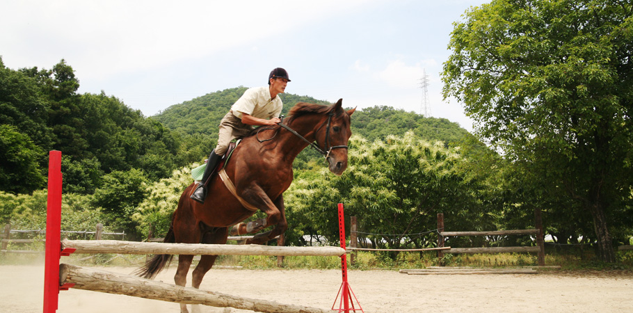 岐阜 乗馬体験｜ホースファーム・カトー｜岐阜県各務原市にある乗馬クラブ